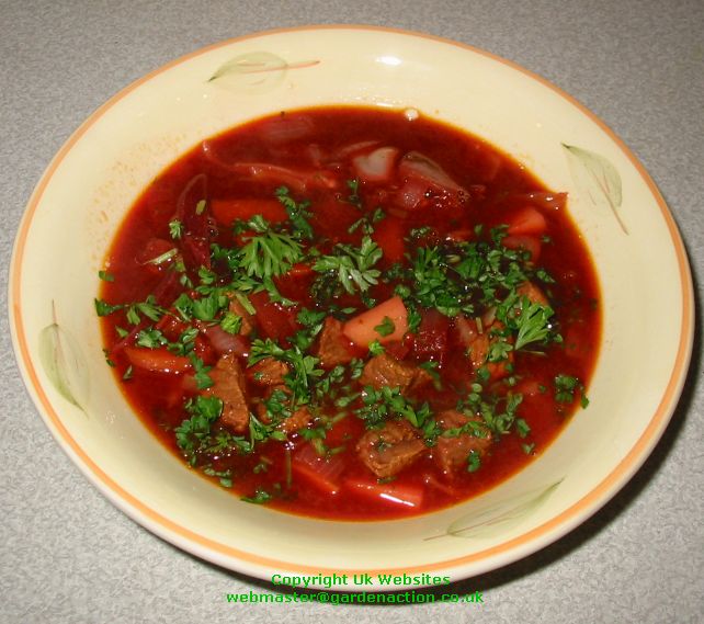Borscht Soup